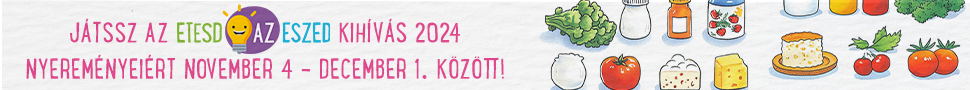 Kihivas_2024_banner_fekvo_v2.png