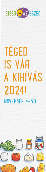 Kihivas_2024_banner_allo.png