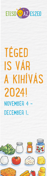 Kihivas_2024_banner_allo_v2.png